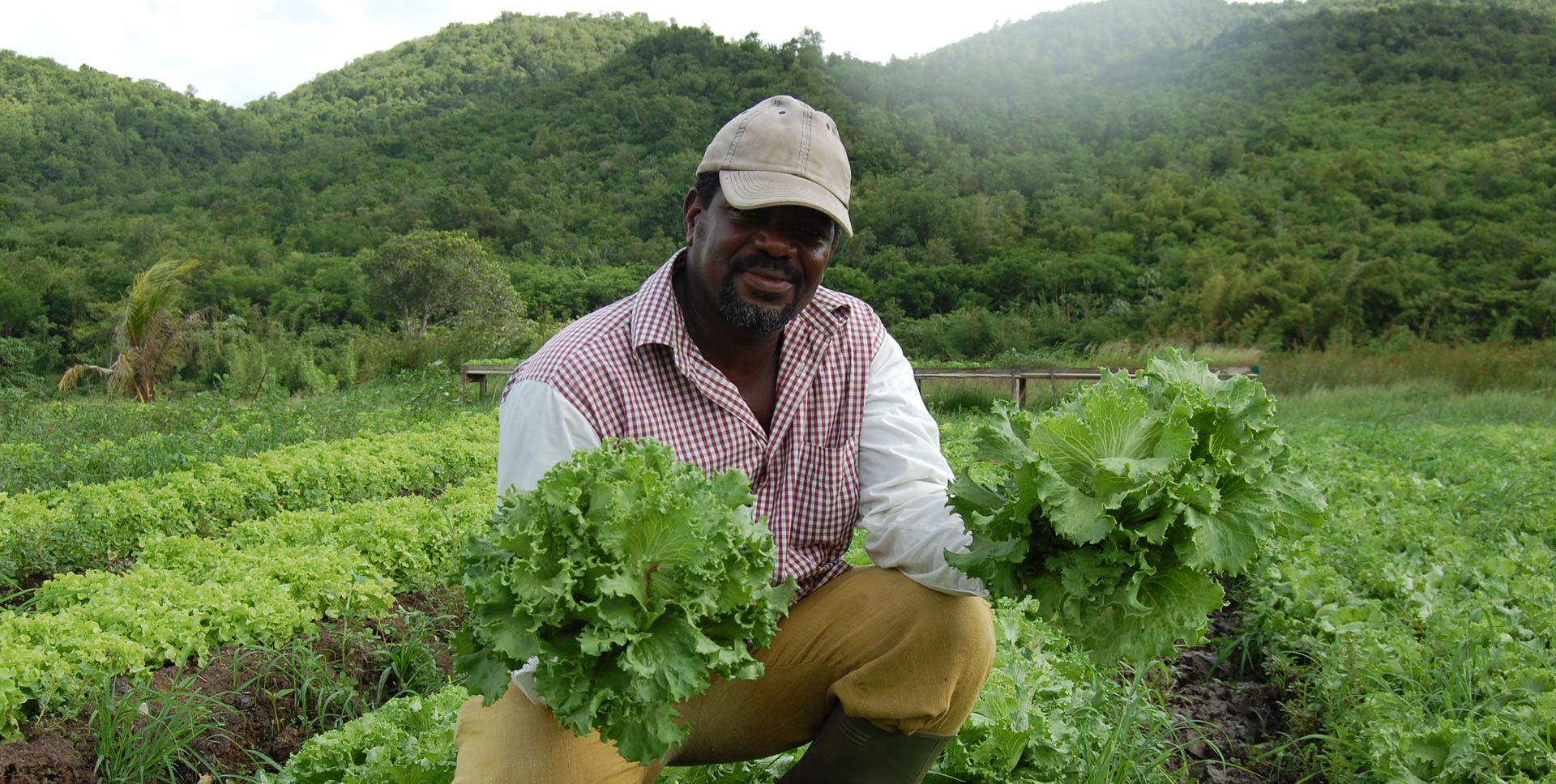 agriculteur